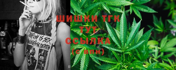 гидропоника Коряжма