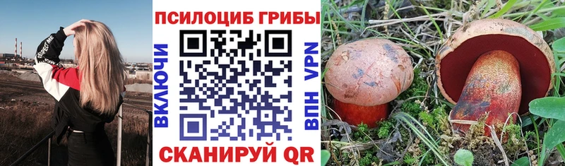 Псилоцибиновые грибы GOLDEN TEACHER  Купить где  Чаплыгин 